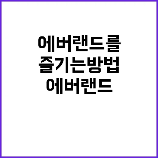 에버랜드를 최대한 즐기는 방법