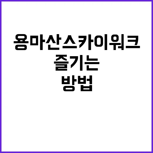 용마산 스카이워크를 즐기는 방법