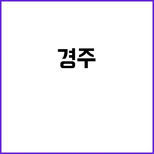 경주에서 꼭 방문해야 할 명소를 체험하는 방법