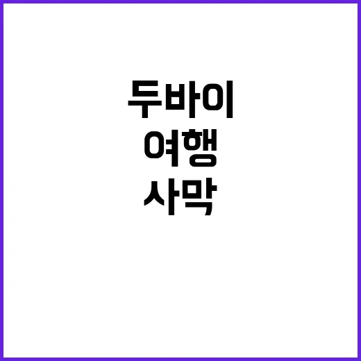 두바이를 여행하는 방법: 사막의 모험과 도시의 화려함을 만끽하기