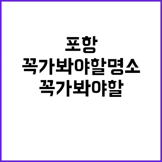 포항에서 꼭 가봐야 할 명소들을 즐기는 방법