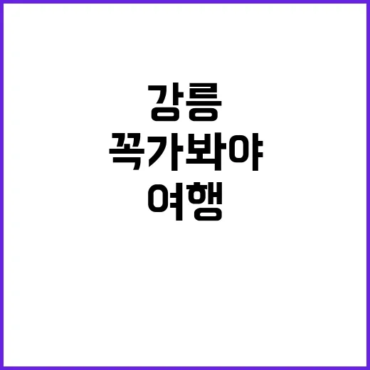 강릉을 여행하는 방…
