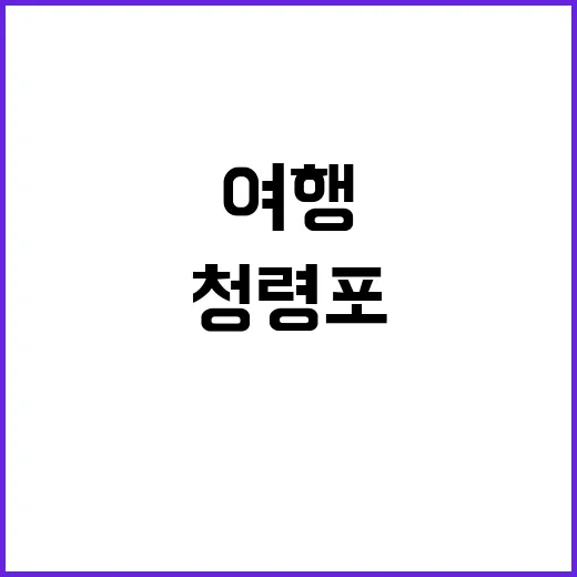 청령포를 완벽히 여행하는 방법