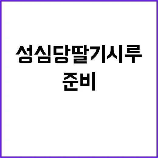 성심당 딸기시루를 맛보려면 이렇게 준비하세요