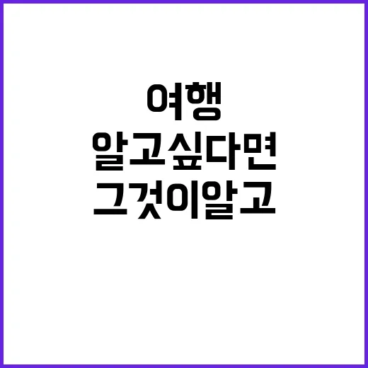 여행 중 그것이 알고 싶다면 이렇게 준비하세요