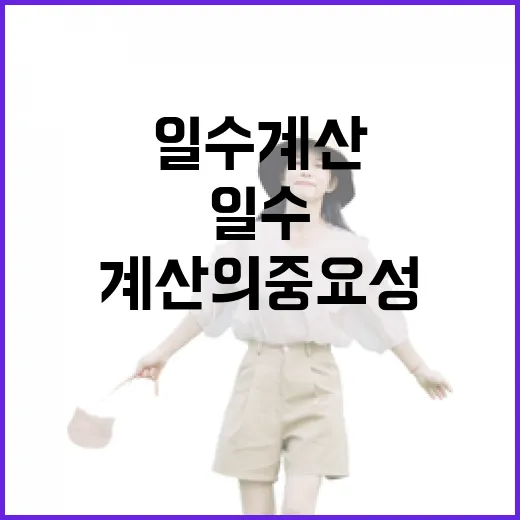 여행 일정을 효율적으로 계획하는 방법: 일수계산의 중요성 - 요약
