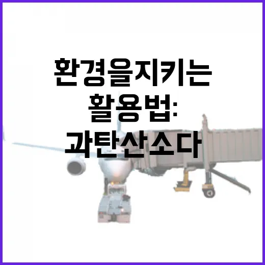 과탄산소다 활용법: 여행 중 환경을 지키는 방법 - 요약