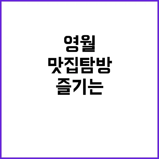 영월을 완벽히 즐기…