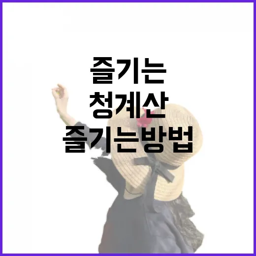 청계산을 완벽하게 즐기는 방법 - 요약