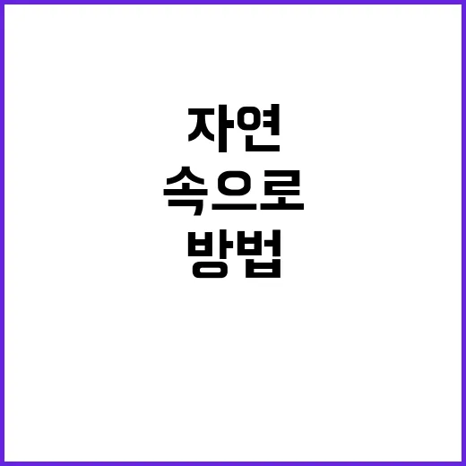 진주 매화숲을 탐험하는 방법: 아름다운 자연 속으로