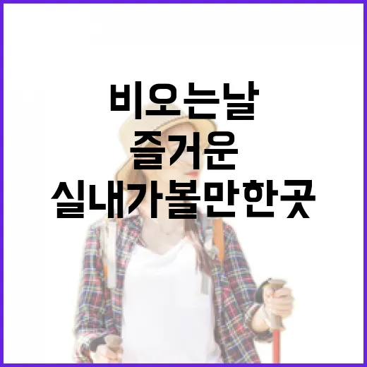 비 오는 날에도 즐거운 실내가볼만한곳 활용법 - 요약