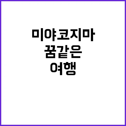 미야코지마에서 꿈같은 여행을 즐기는 방법