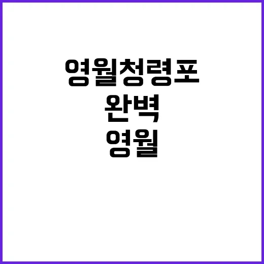 영월 청령포를 완벽…