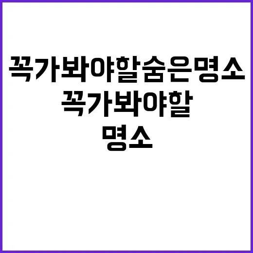 파주에서 꼭 가봐야 할 숨은 명소를 찾는 방법