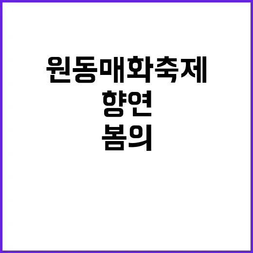 원동 매화축제를 즐기는 방법: 봄의 향연을 만끽하세요