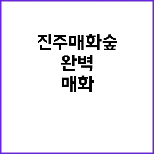진주 매화숲을 완벽하게 즐기는 방법