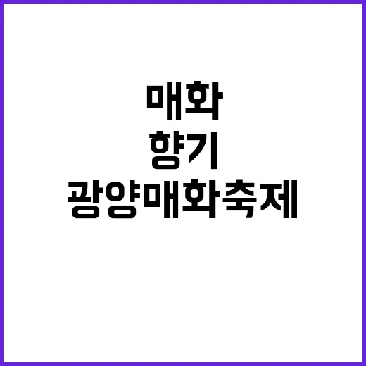 광양 매화축제를 즐기는 방법: 봄날의 향기를 찾아서