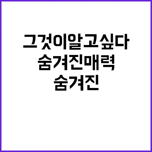 여행지의 숨겨진 매력, 그것이 알고싶다