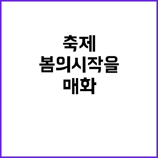 양산 매화축제를 즐기는 방법: 봄의 시작을 느끼려면 이렇게