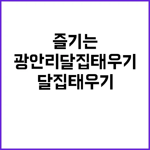 광안리 달집태우기를 즐기는 방법