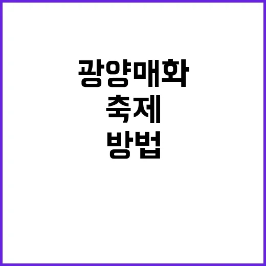 광양 매화축제를 즐기는 방법