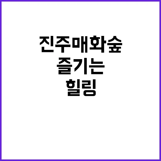 진주 매화숲을 즐기는 방법: 자연 속에서 힐링하기