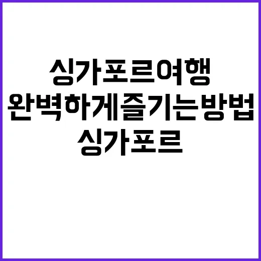 싱가포르 여행을 완벽하게 즐기는 방법