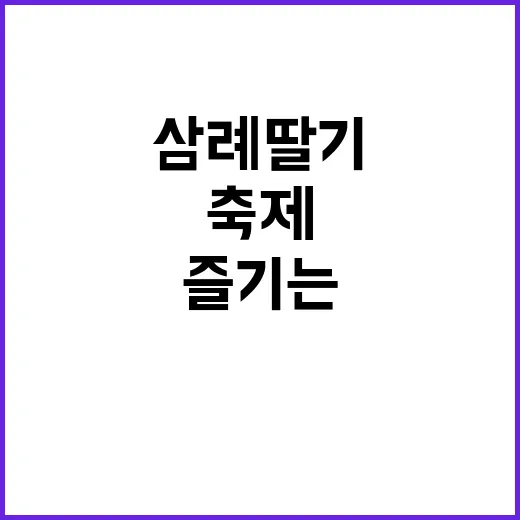 삼례 딸기축제를 즐…