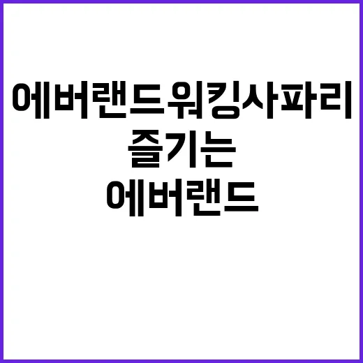 에버랜드 워킹사파리를 제대로 즐기는 방법