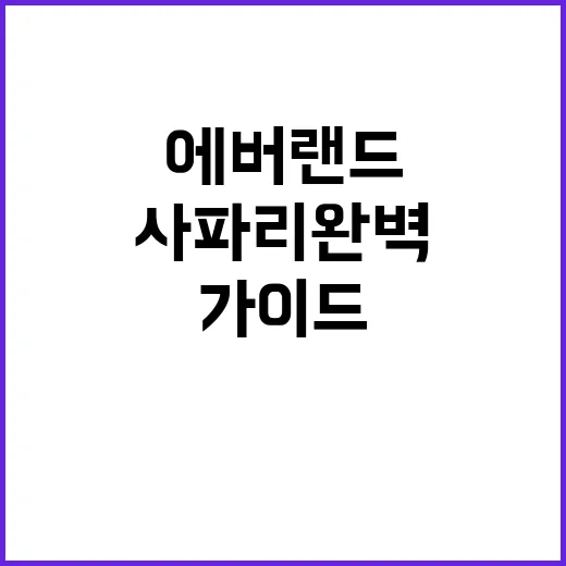 초보자를 위한 에버랜드 사파리 완벽 탐험 가이드
