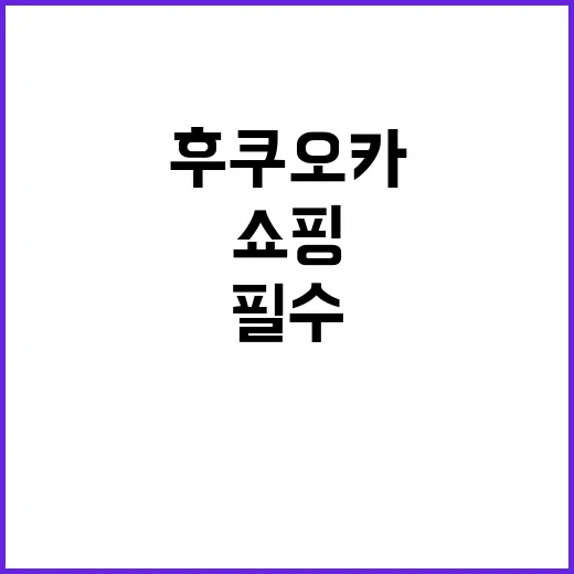 후쿠오카에서 쇼핑을 즐기는 방법: 필수 방문지와 팁