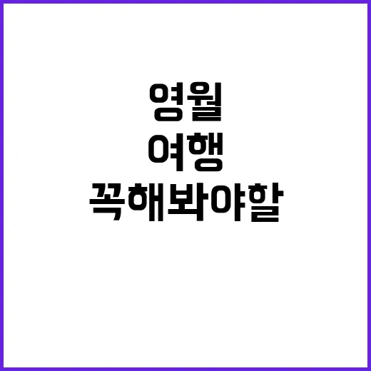 영월에서 꼭 해봐야 할 여행 방법