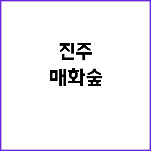 진주의 매화숲에서 봄을 만끽하는 방법