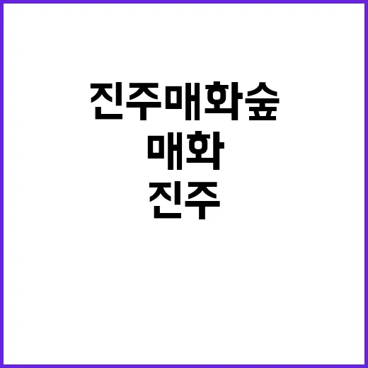 진주 매화숲을 즐기는 방법: 자연과의 특별한 만남