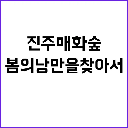 진주 매화숲을 탐험하는 방법: 봄의 낭만을 찾아서