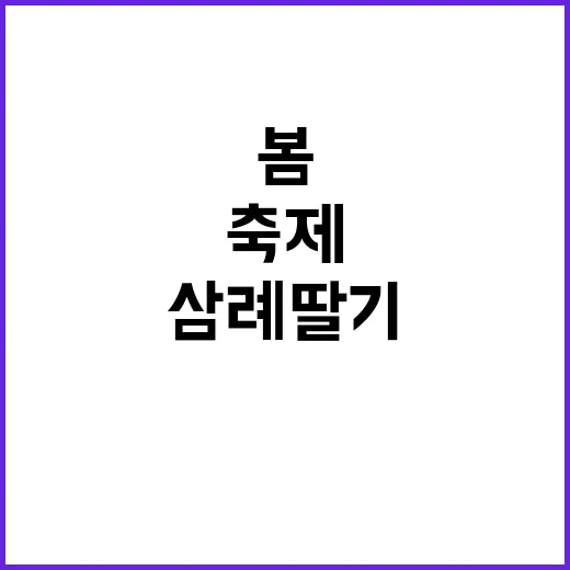 삼례 딸기축제를 즐기는 방법: 달콤한 봄을 만끽하세요