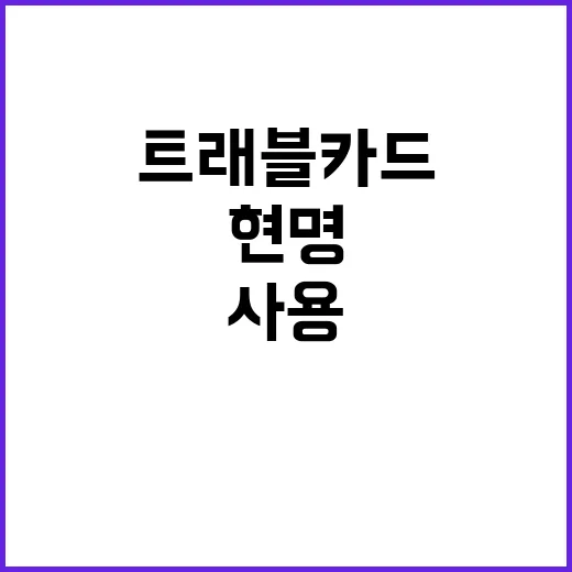 트래블카드를 현명하…