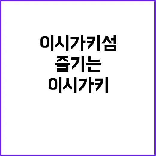 이시가키 섬을 완벽히 즐기는 방법