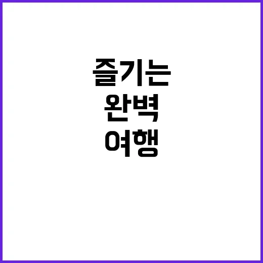 대만 여행을 완벽하게 즐기는 방법