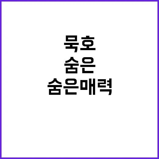 묵호를 제대로 즐기는 방법: 숨은 매력을 찾아서