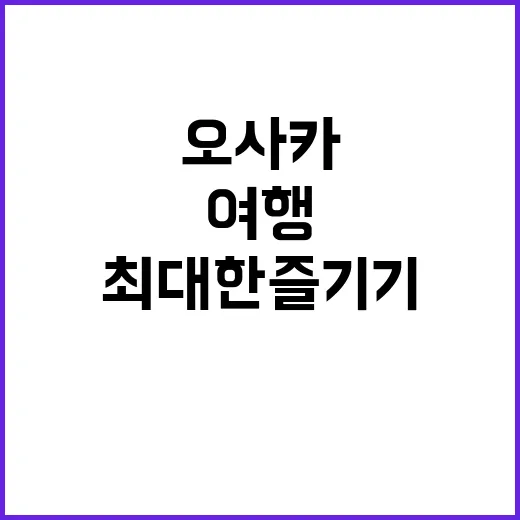 오사카 여행을 최대…