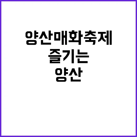 양산 매화축제를 즐…