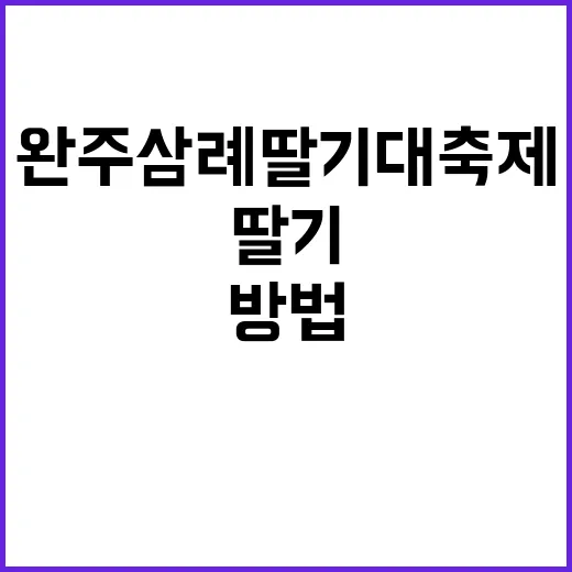 완주삼례딸기대축제를 만끽하는 방법