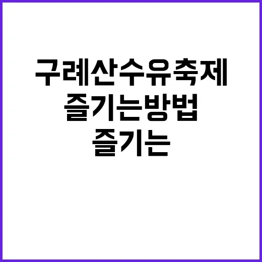 구례 산수유축제를 완벽히 즐기는 방법