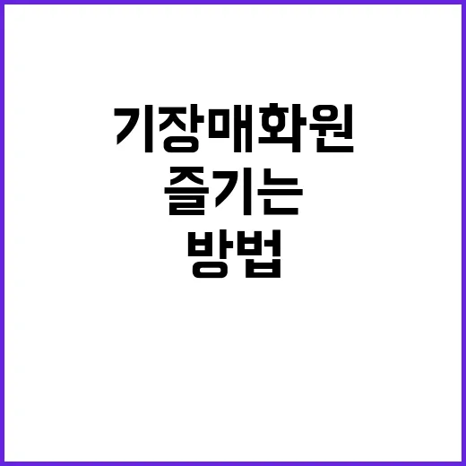 기장 매화원을 완벽히 즐기는 방법