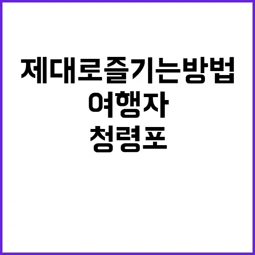 청령포를 제대로 즐…
