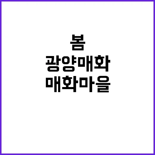 광양 매화마을에서 봄을 만끽하는 방법