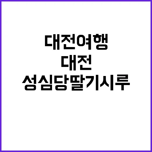 대전 여행 중 성심당 딸기시루를 맛보는 방법