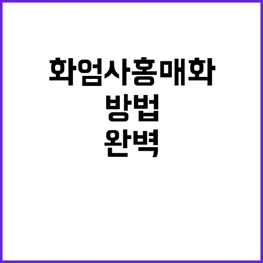 화엄사 홍매화를 감…