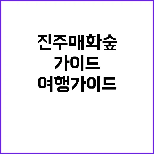 진주 매화숲을 탐험…